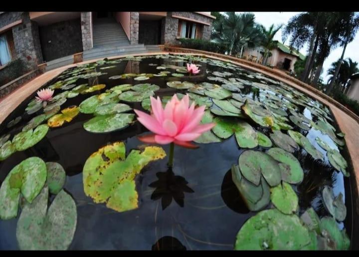 Krishna Heritage Resort Badami Luaran gambar